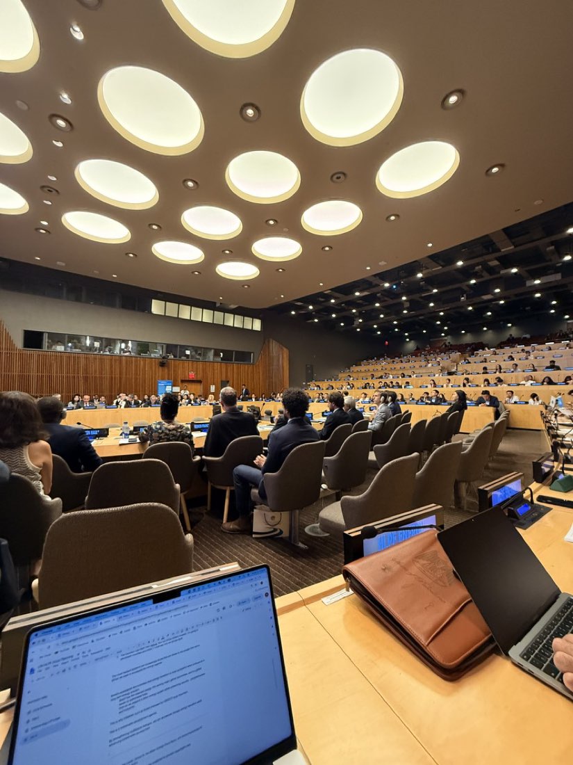 Representing EcoBiz at the United Nations